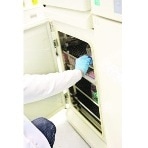 Conserving the Quality of Vaccinations in Transport