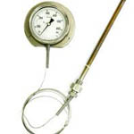 Mercury Filled Thermometer from Yash International