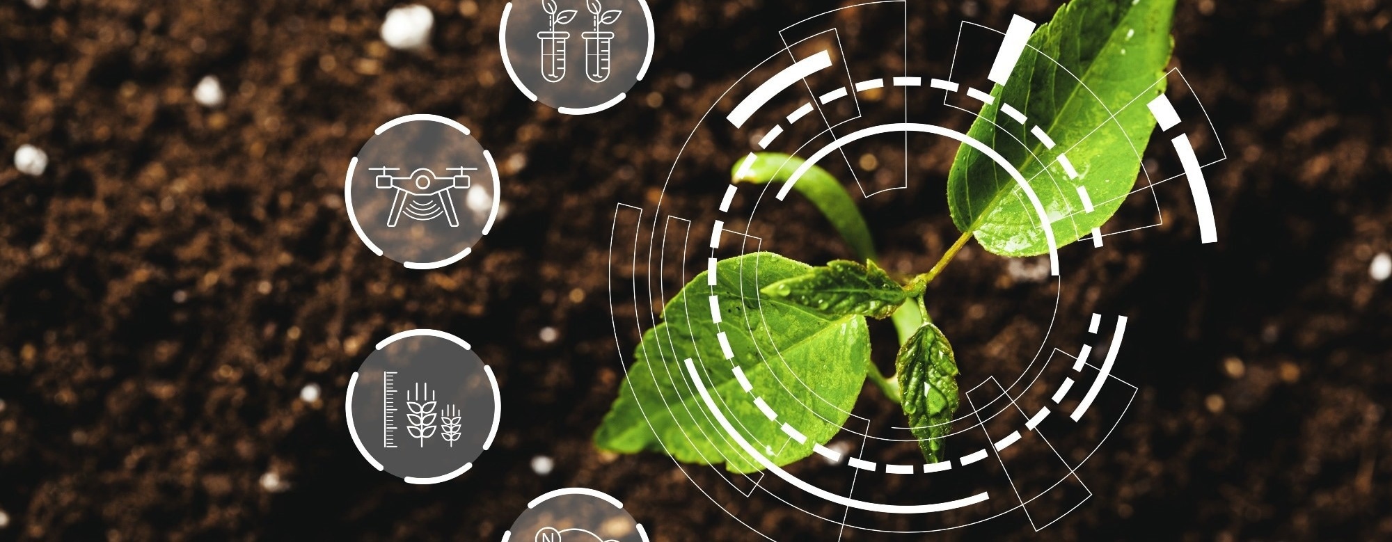 How Biosensors Are Detecting Plant Diseases Before Symptoms Appear
