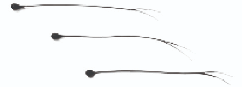 Thermometrics NTC Thermistors | Epoxy Interchangeable Type 65