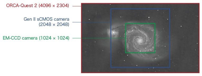 Unparalleled Sensitivity and Precision with the ORCA-Quest qCMOS Camera