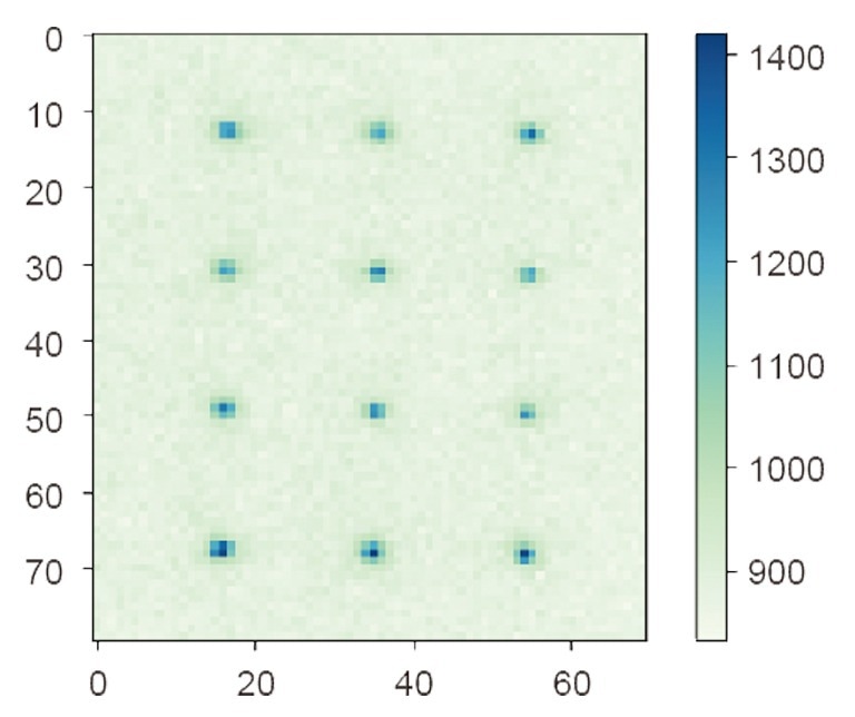 Fluorescence imaging of Rb atom array with ORCA-Quest