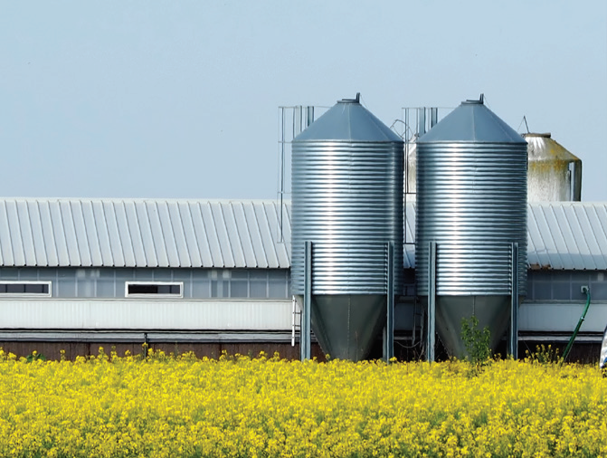 Simplifying Feed Inventory with FeedView®