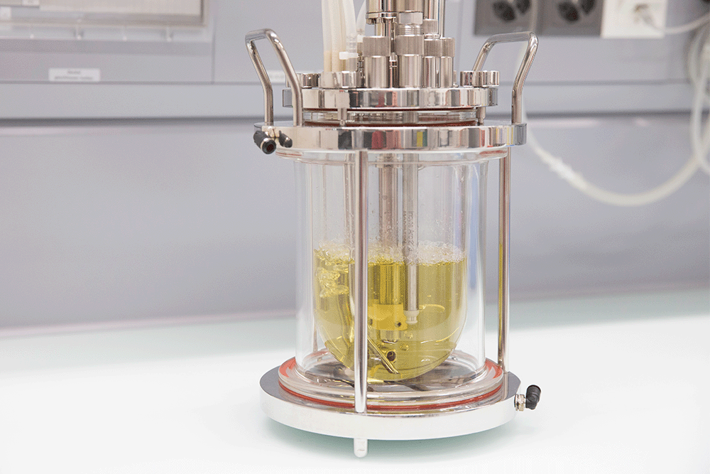 Incyte Arc Sensors for Real-Time In-Situ Viable Cell Measurement