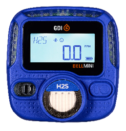 The BELLMINI: A Portable Gas Detector