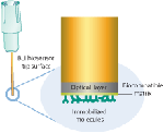 Dip and Read Biosensor from ForteBio, Inc