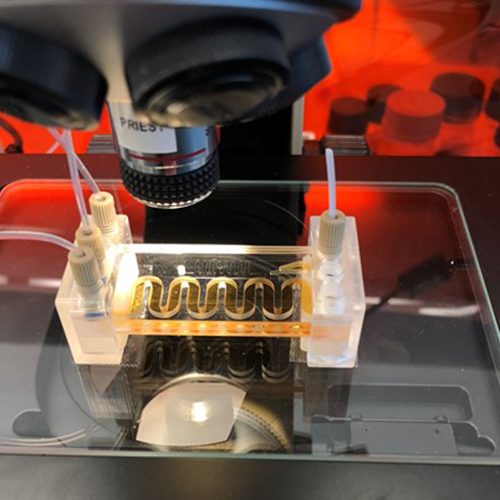 Microchip sensor in development