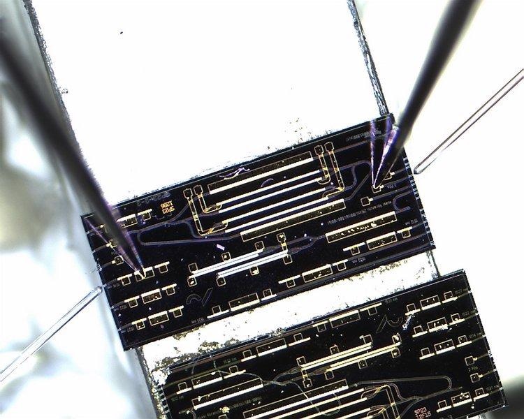 New Photonic Sensor Technology for Portable Ammonia Detection in Agriculture