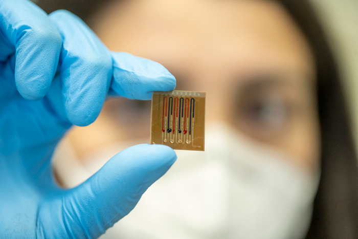 Researchers Develop Biosensors to Measure Antibiotics in Mammals.