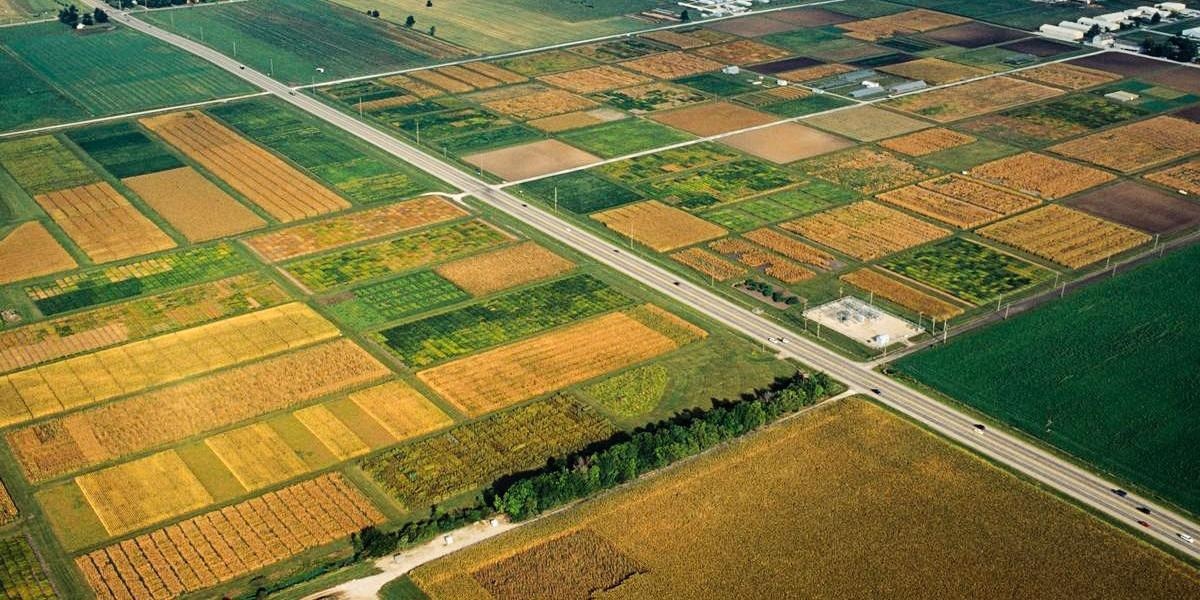 Crop Nitrogen Detected with High Accuracy Using Hyperspectral Sensors Fitted on Planes.