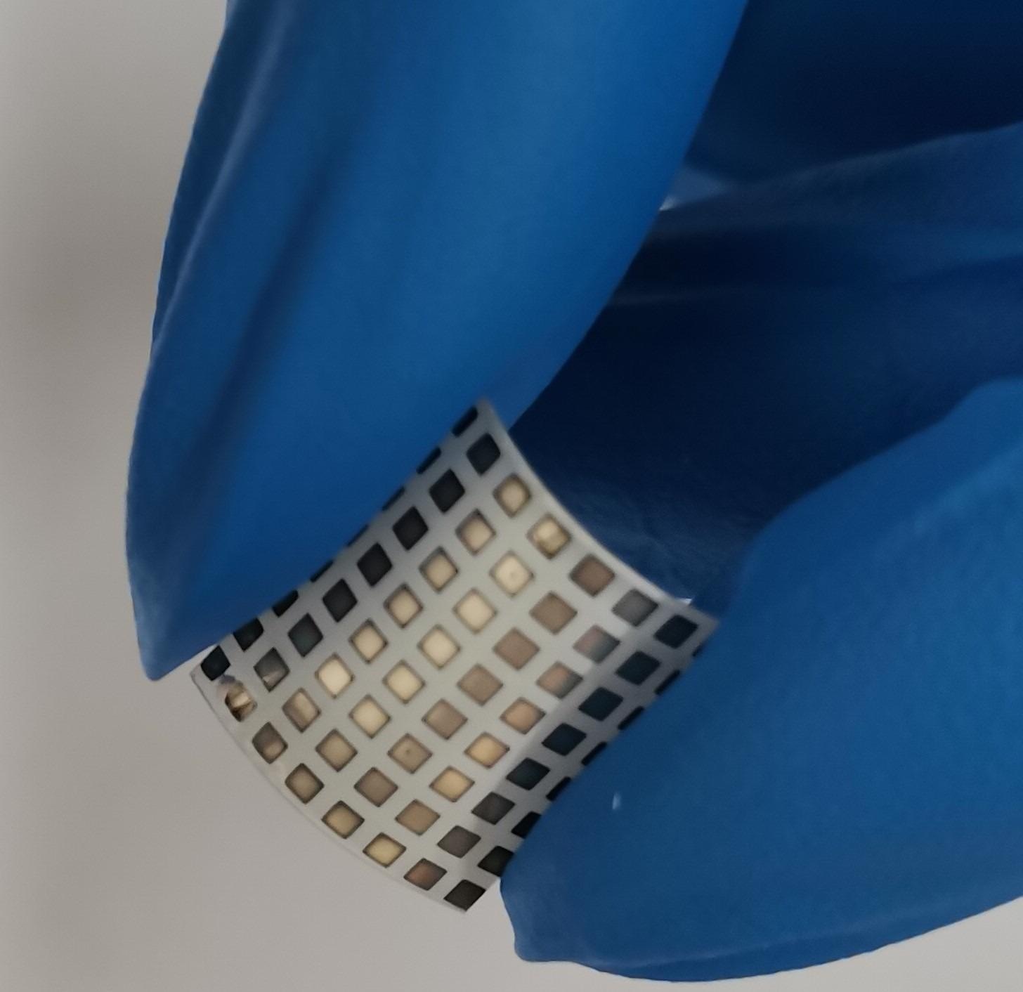 Novel Humidity Sensor Draws Inspiration from a Camel’s Nose.