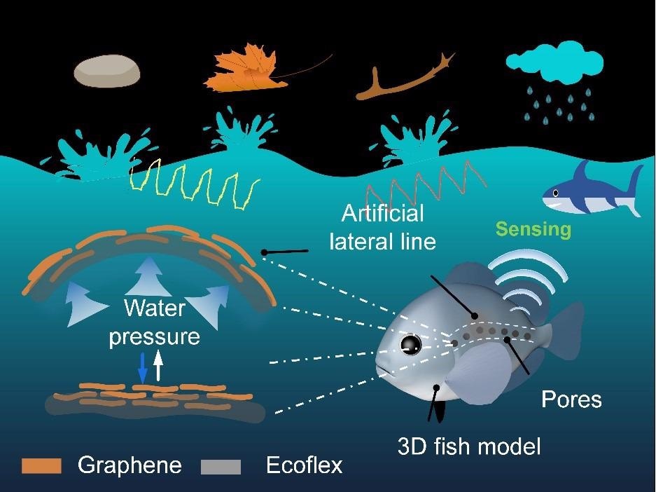 Researchers Create an Underwater Mechanical Sensor That Acts Like Lateral Line.