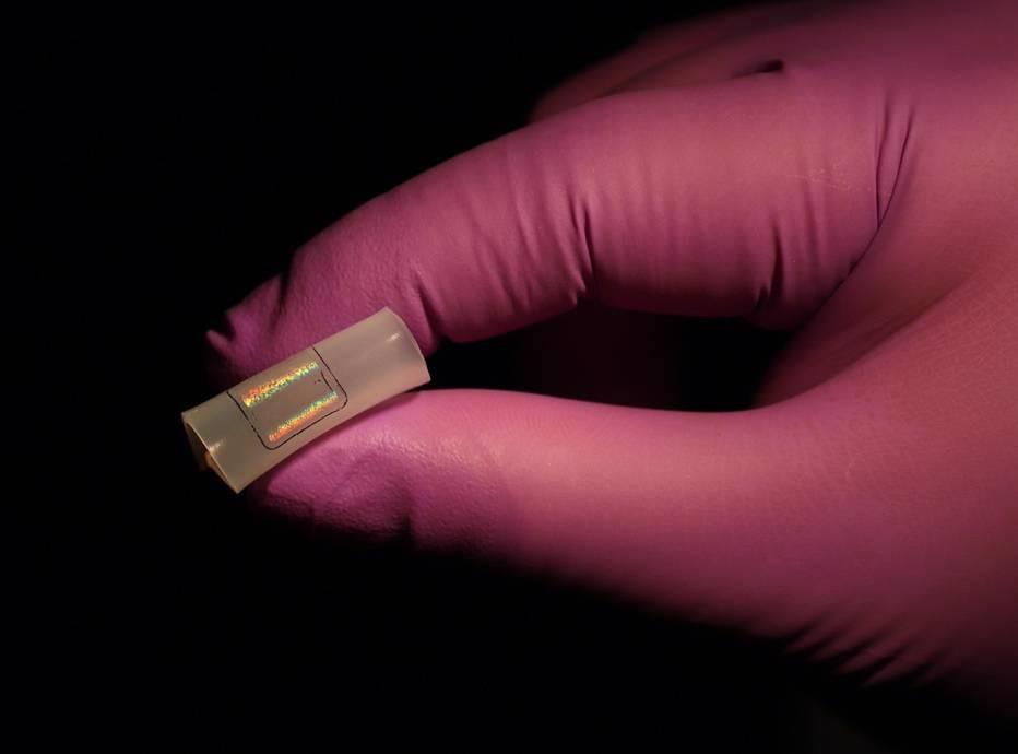 Research Identifies How Sensor May Enhance Accuracy and Speed for COVID Test.