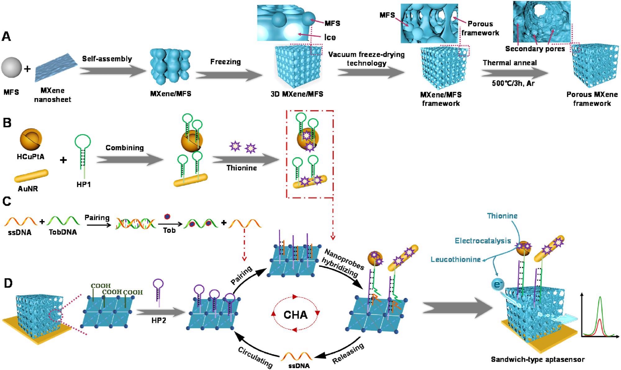 Scientists Shed Light into Electrochemical Aptasensor to Identity Thrombin in Serum.