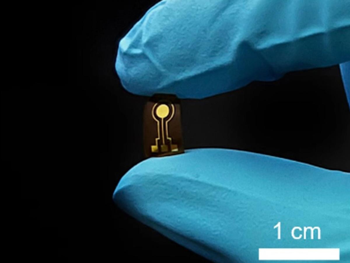 Implantable Sensing Device for Continuous, Wireless Nitric Oxide Tracking