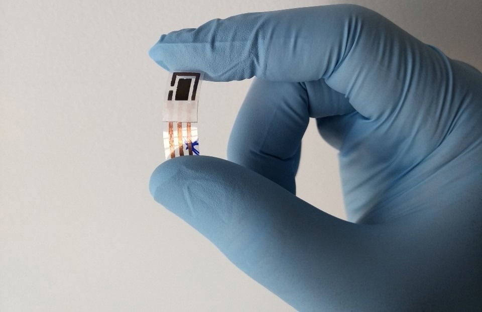 Detection of Heavy Metals in Noninvasive Samples of Sweat