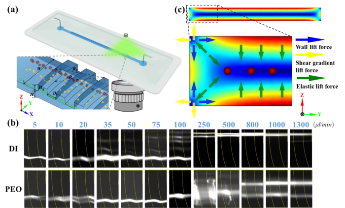 On-Chip Viscoelasticity Sensor for Biological Fluids