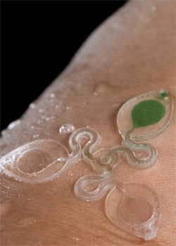 3D-Printed Wearable Sweat Sensor to Monitor Health