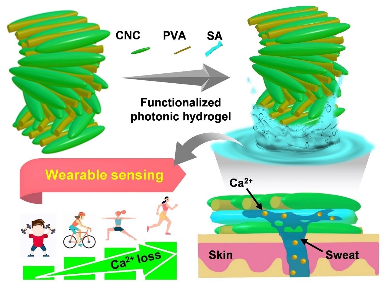 Insoluble Photonic Cellulose Nanocrystal Patch for Calcium Ion Sensing in Sweat