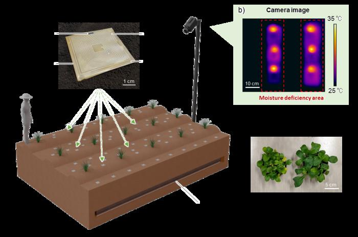 Biodegradable Sensors for Precision and Sustainable Agriculture