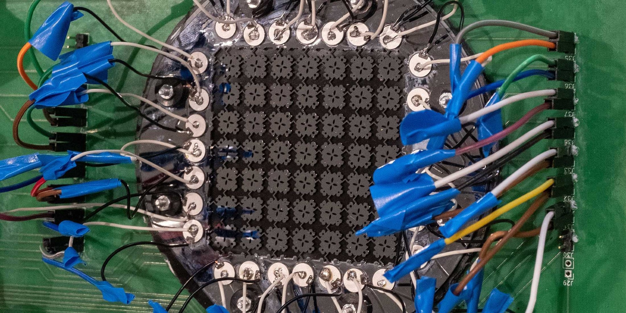 A Sensor Capable of Protecting Millions of Butterflies