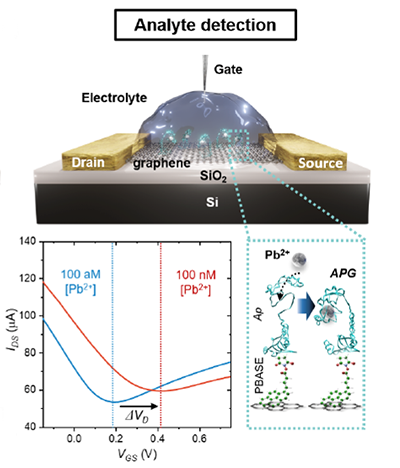 Ultra-Sensitive Sensor for Enhancing Water Quality Monitoring