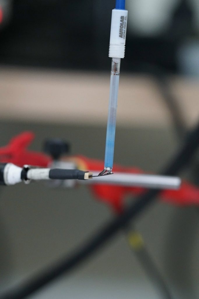 Graphene Biosensor Detects Meat Freshness With Speed and Accuracy