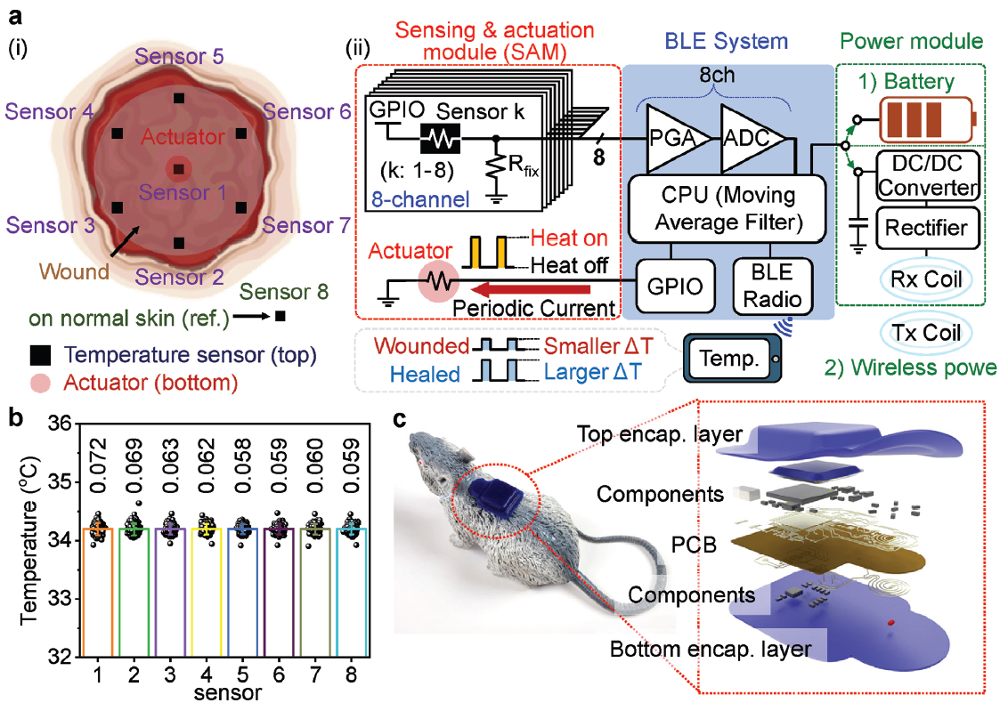 Biodegradable Sensors Monitor Temperature for Personalized Treatment