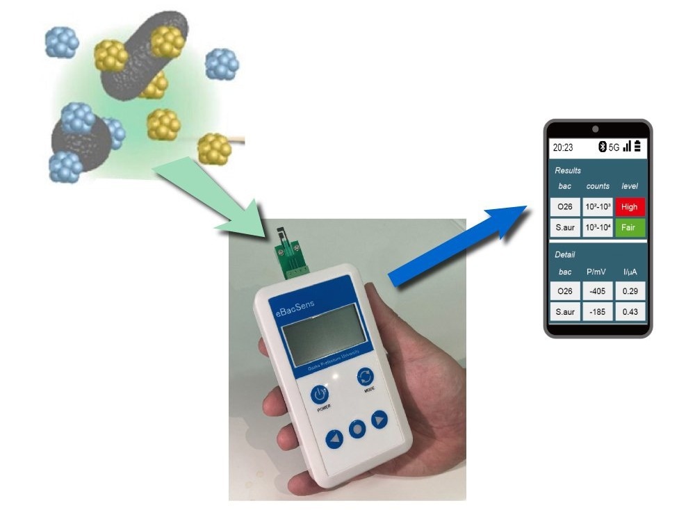 New Biosensor Transforms Food Safety Testing