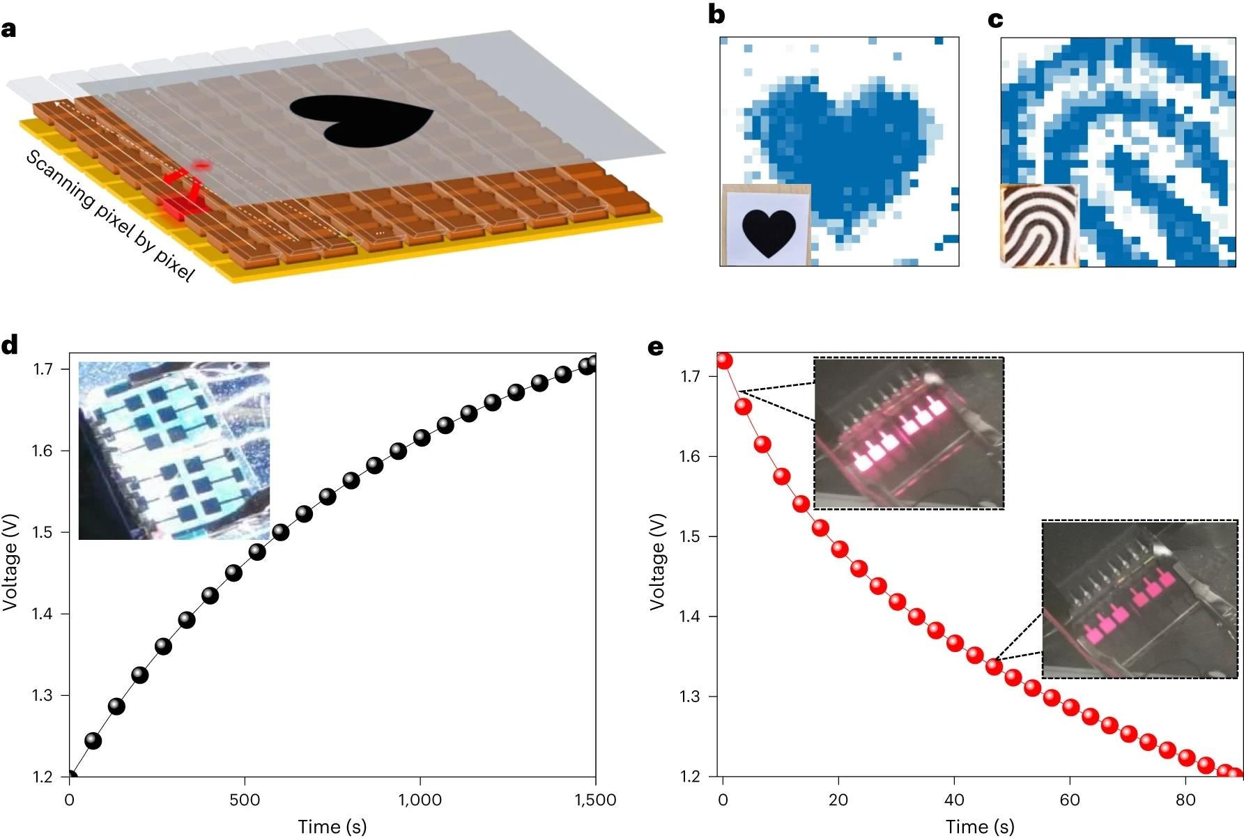 Multifunctional Displays with Photo-Responsive Perovskite LEDs