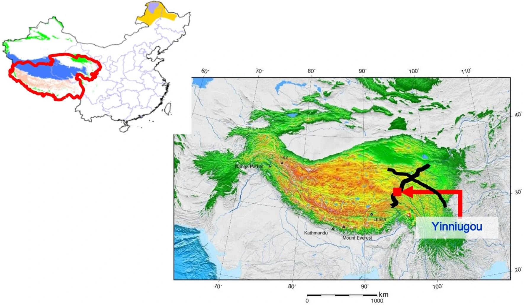 Wavelet Denoising for Permafrost Monitoring