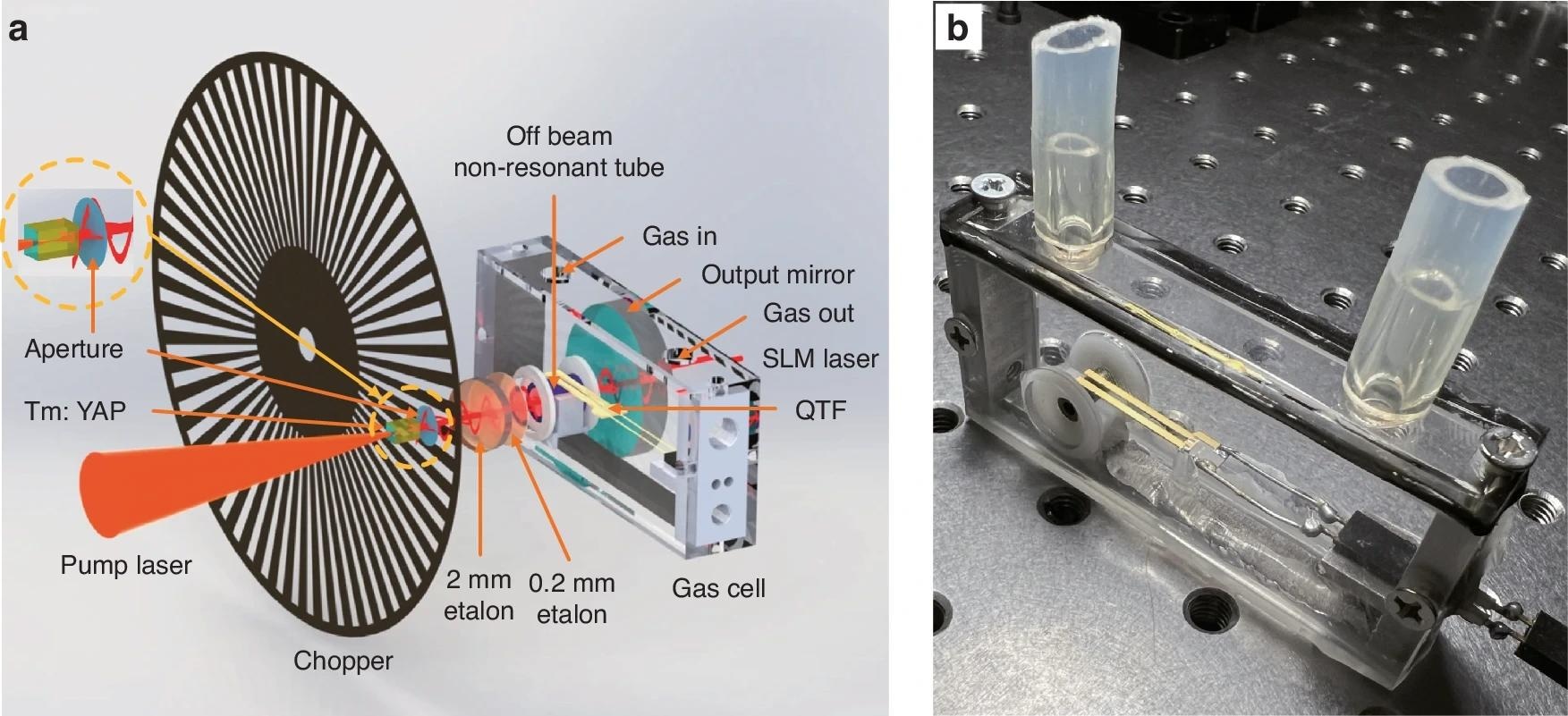 Dual-Gas Sensing with Solid-State Laser Photoacoustic Spectroscopy