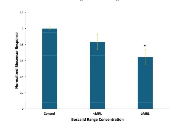 Innovative Biosensors for Soil Heavy Metal Detection