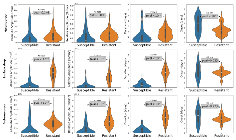 Cost-Effective Phenotyping System for Plant Disease Detection