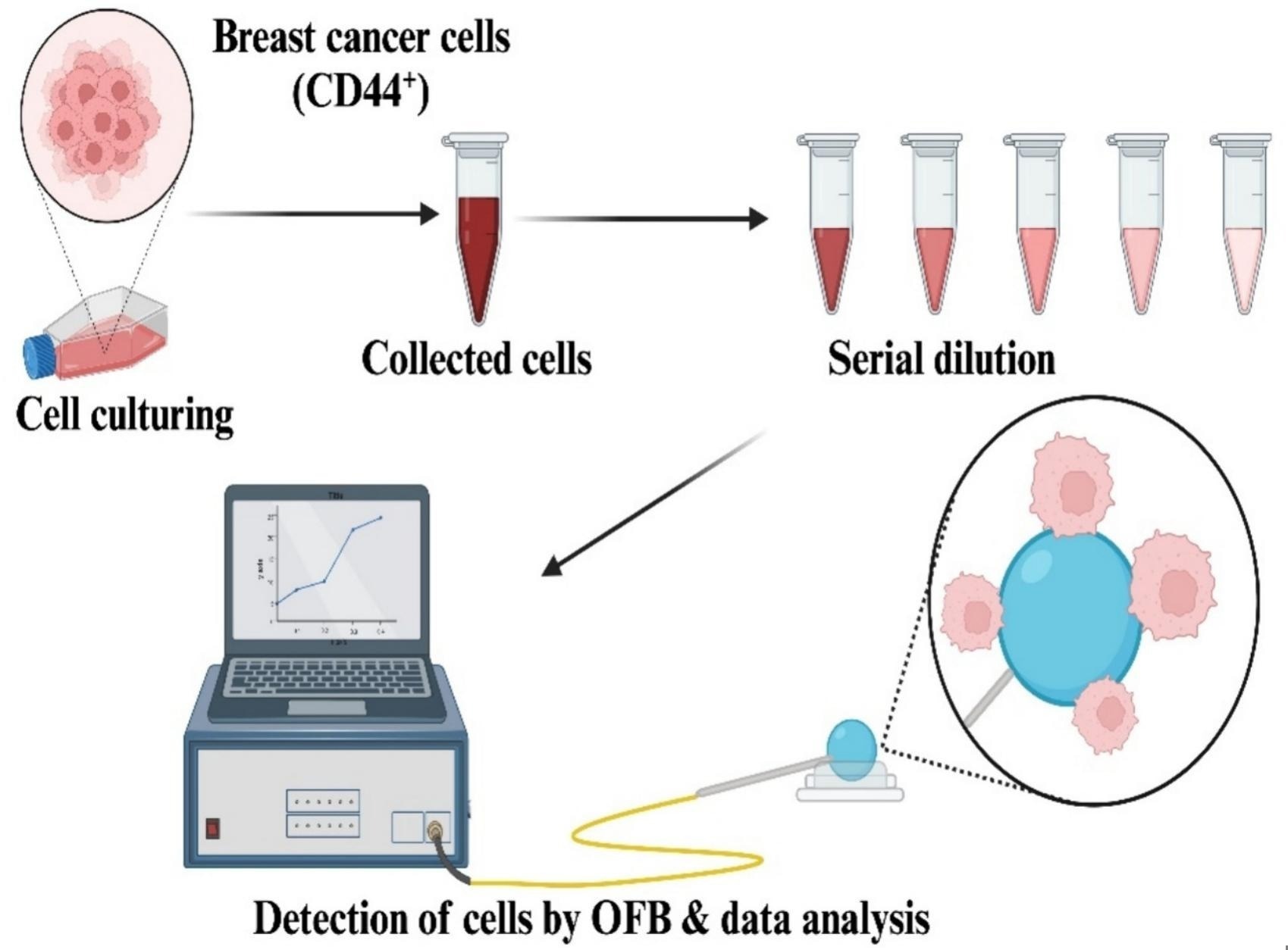 New Optical Fiber Biosensor Targets Breast Cancer Cells