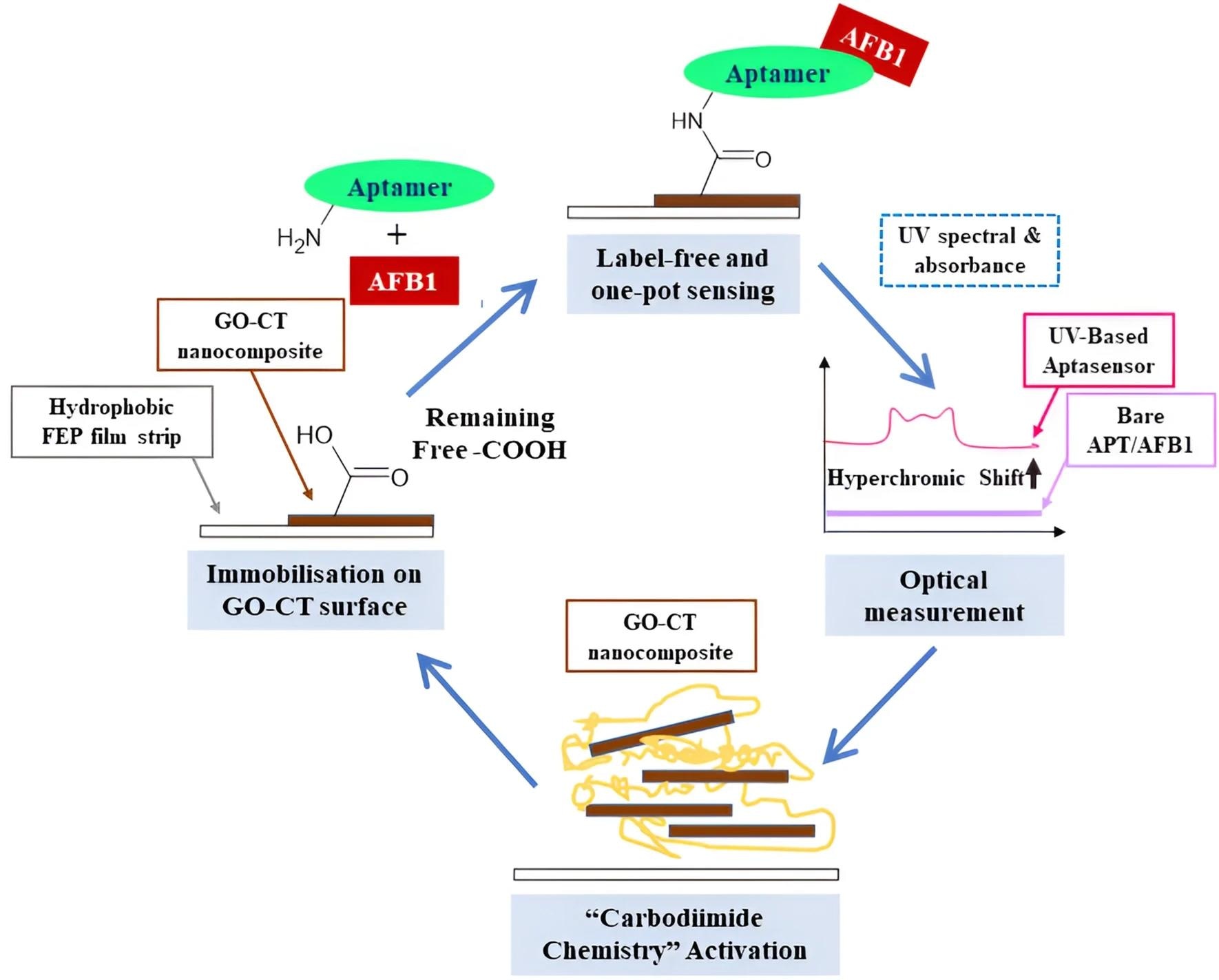 Novel Ultraviolet Aptasensor for Aflatoxin Detection