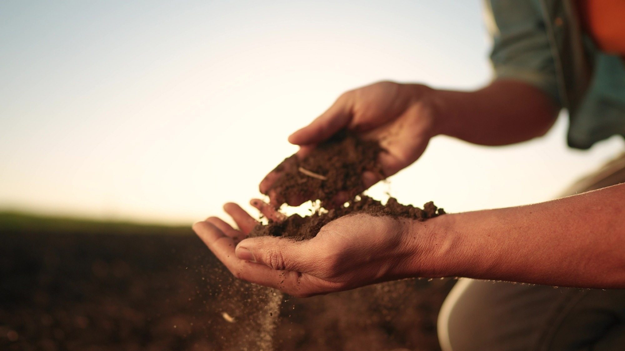 Measuring Soil Moisture with New Sensor