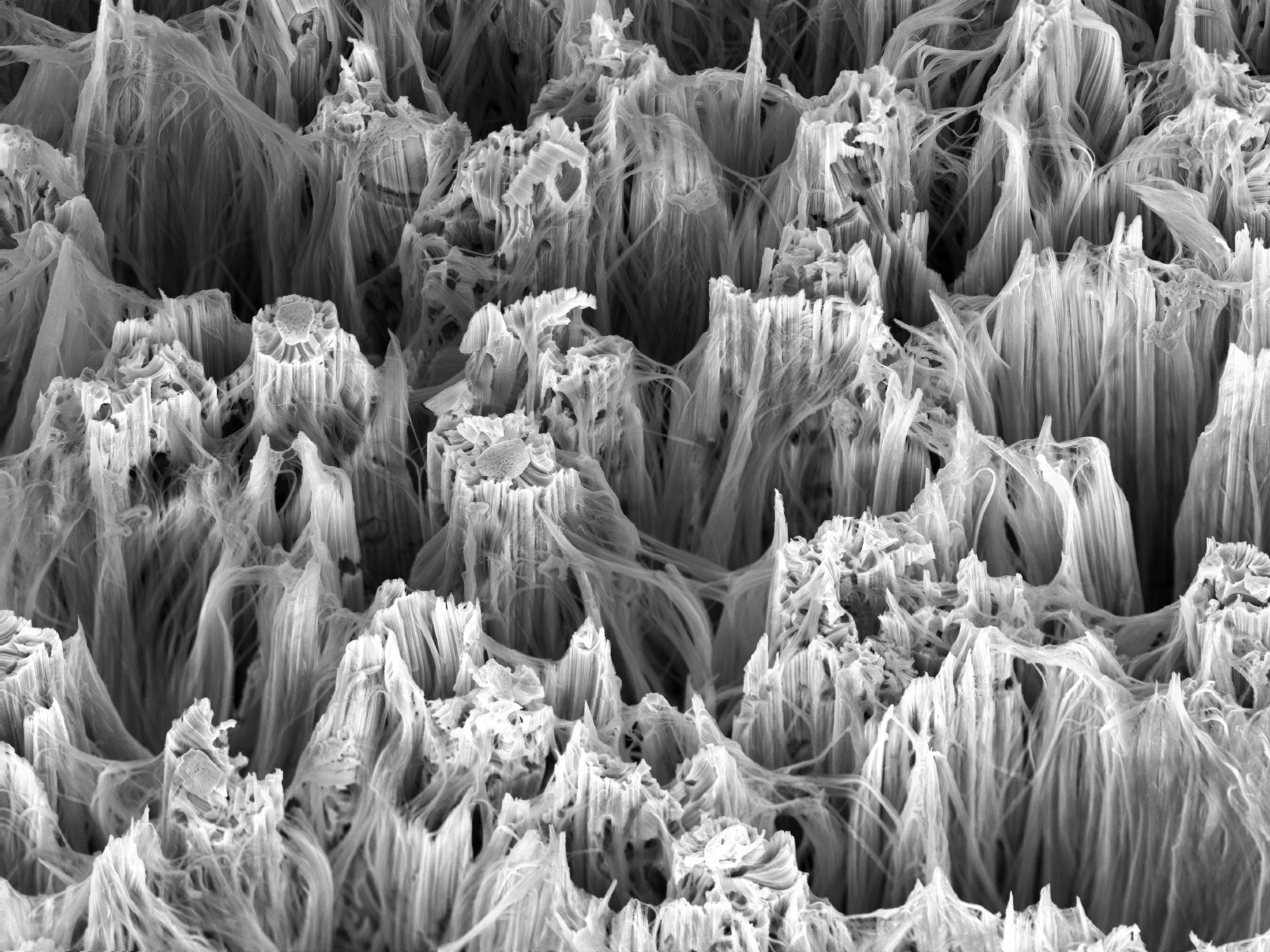 CuO Nanowires Boost Ozone Sensor Sensitivity