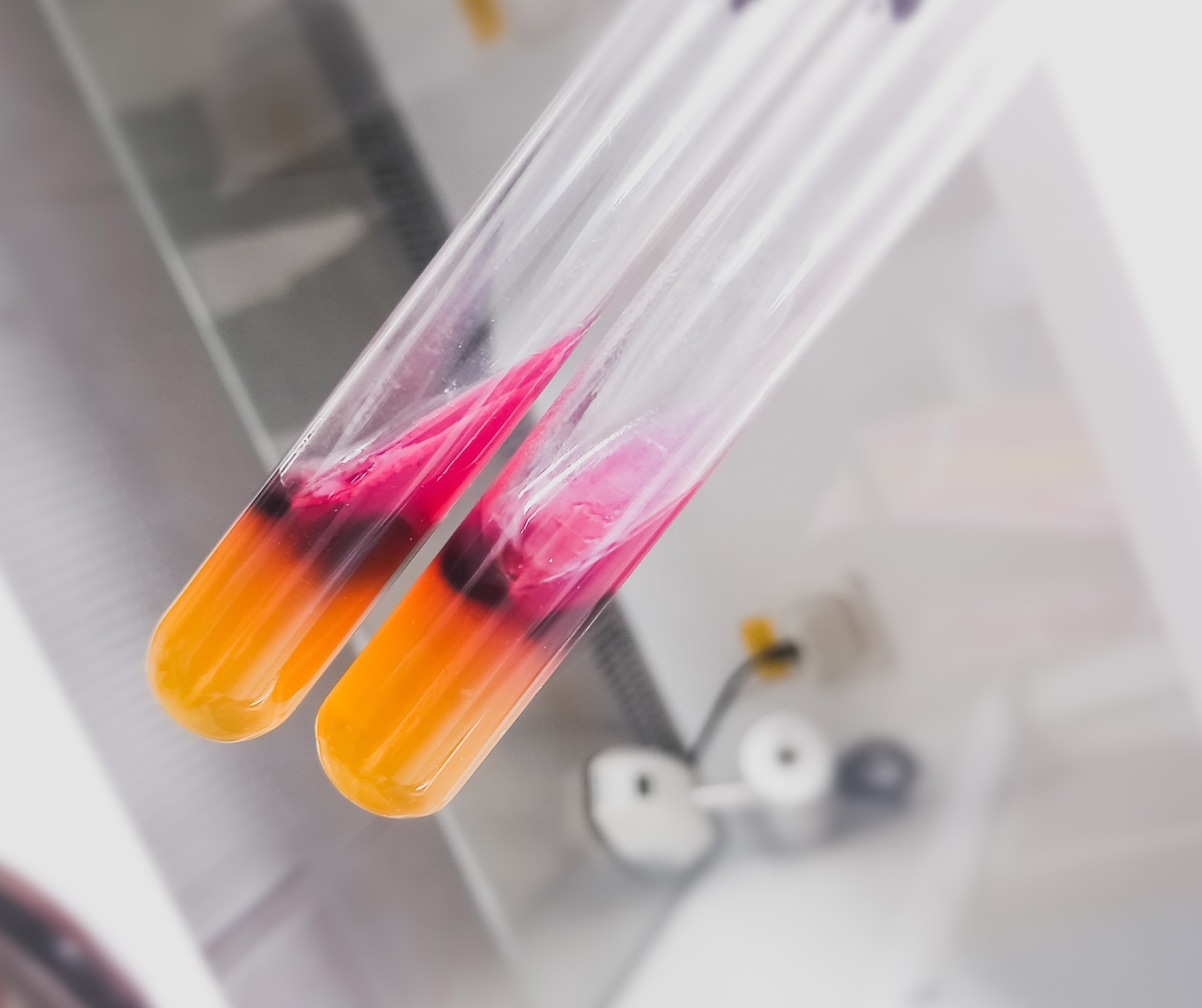 HEK-hTLR5 Biosensor Speeds Up Salmonella Detection