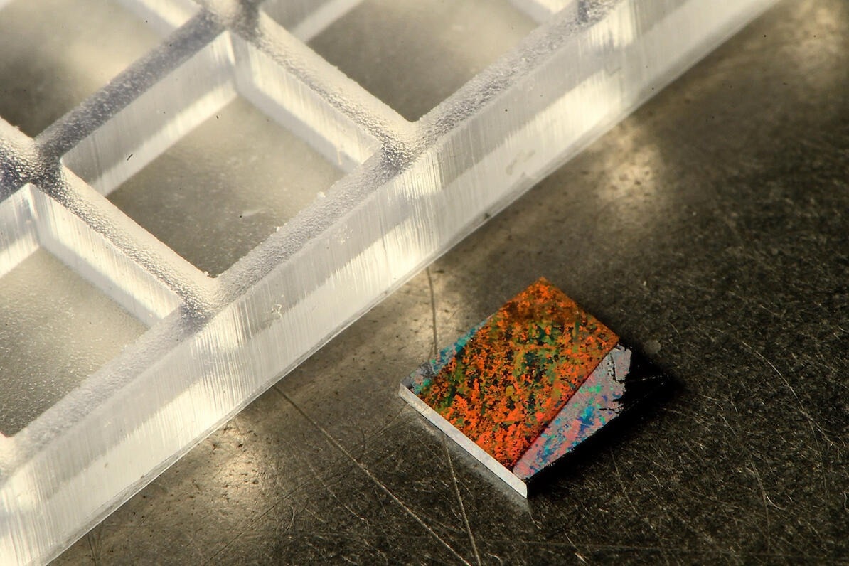 Rapid Blood Test Diagnoses Infections in Minutes