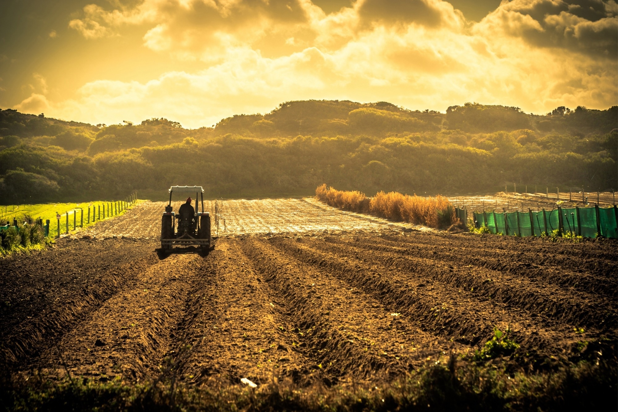 A farm.