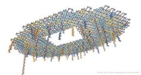 A coarse-grained model of the DNA origami lilypad used in the study.