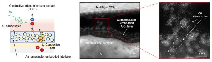 New Electrode Breakthrough Paves the Way for Next-Gen 2D Semiconductor Image Sensors