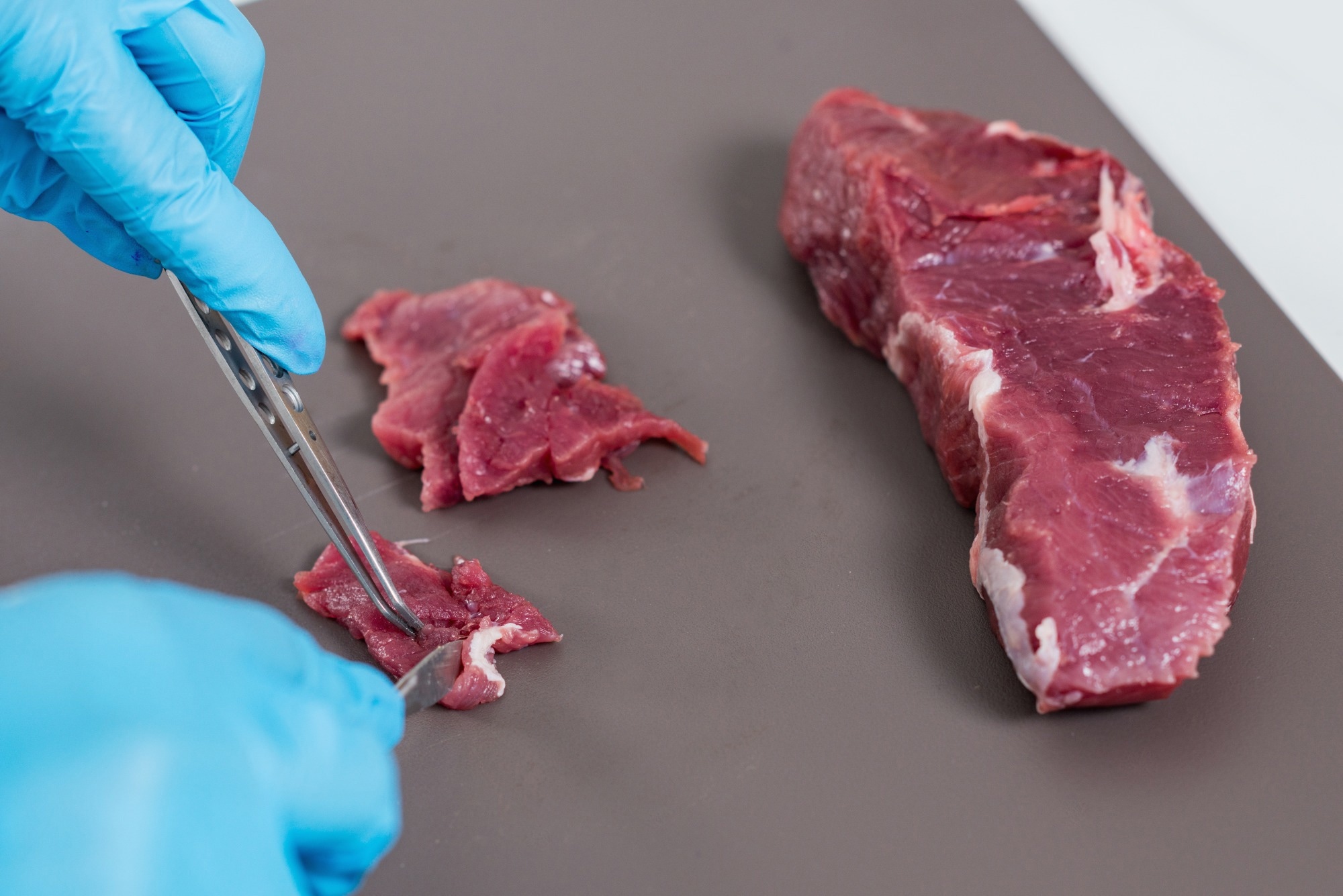 Quality control expert inspecting at meat in the laboratory