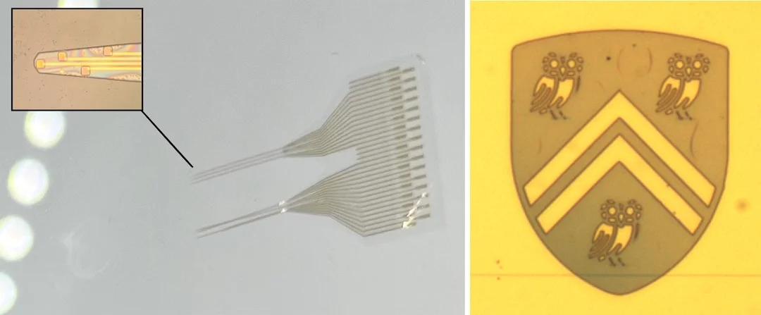 Implantable electrocorticography device