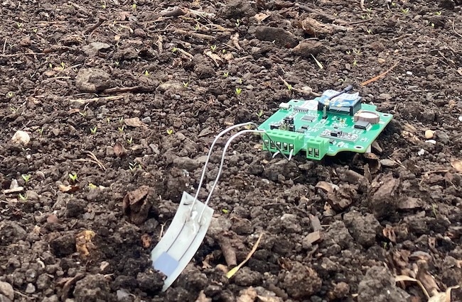 prototype biodegradable sensor