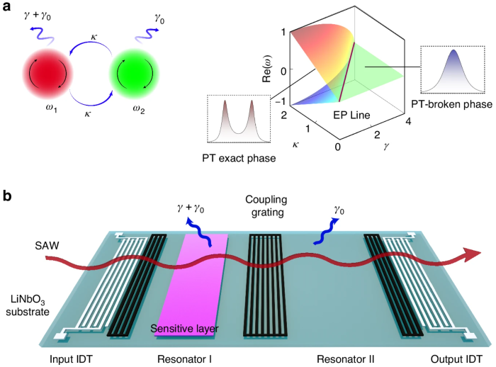 High-Performance Hydrogen Sulfide Detector Based on an Exceptional Point SAW Resonator