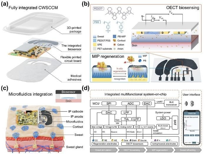 Schematics of CWSCCM for sweat analysis