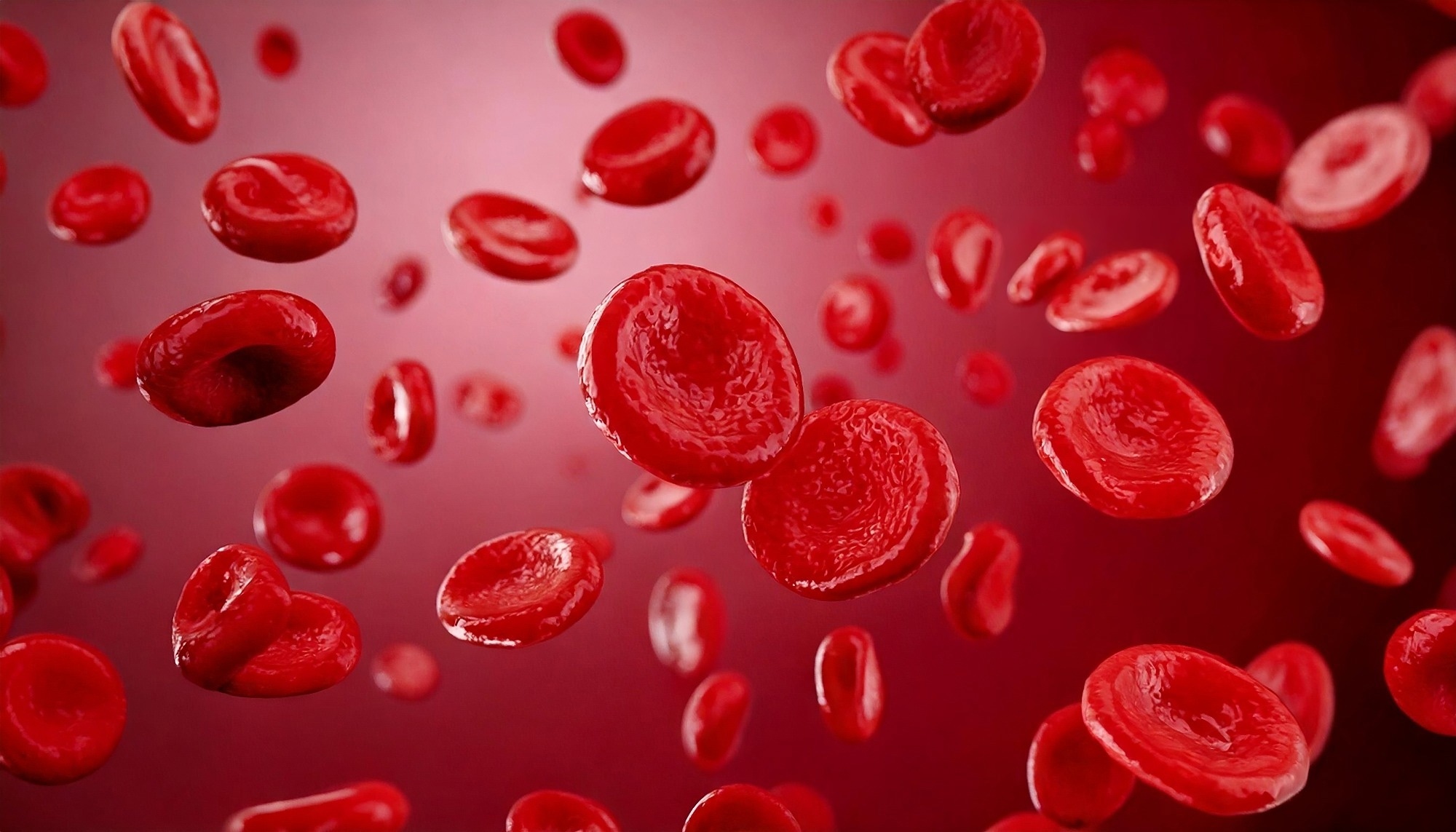 View under a microscope, blood-red blood cells in a living body, 3d illustration.