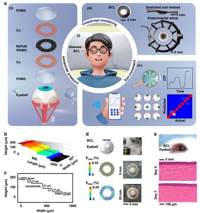 Design and characterization of the stretchable BCL